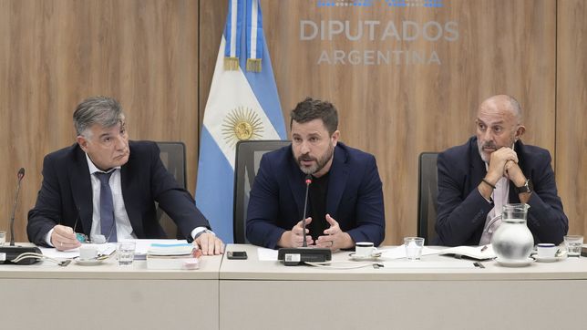 Martín Tetaz, diputado de la UCR.&nbsp;