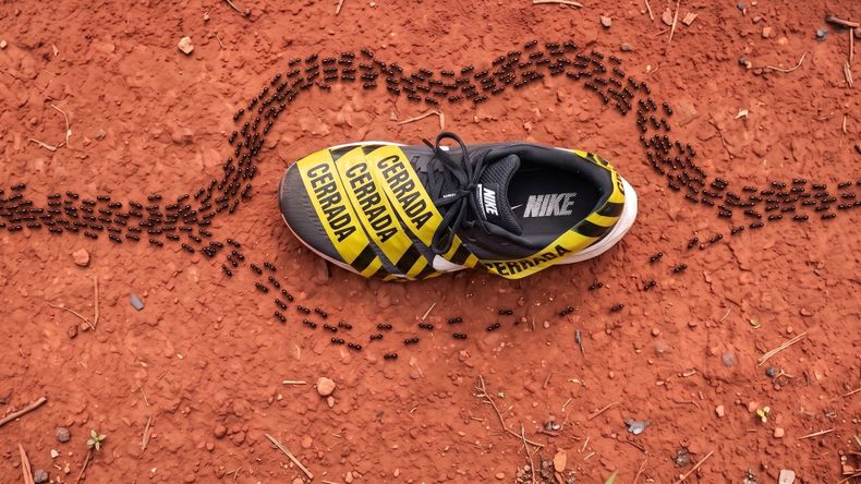 Misiones: de fabricar zapatillas al contrabando hormiga, la salida laboral para los despedidos de Dass