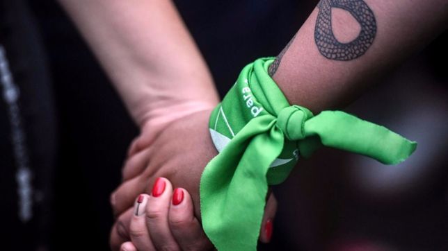 el gobierno celebro la aprobacion del aborto legal en diputados