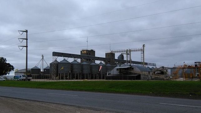 nidera cerro su planta bonaerense y deja 70 trabajadores en la calle