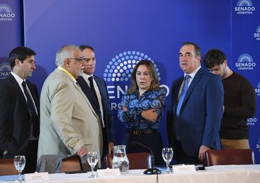 Juan Carlos Pagotto,&nbsp; en la Comisión de Acuerdos, donde se tratan los pliegos de Mahiques.&nbsp;