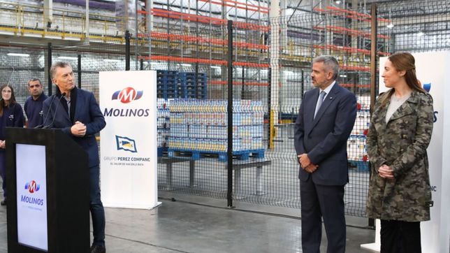 el curioso caso molinos: posicion dominante, superaumentos y balances en rojo