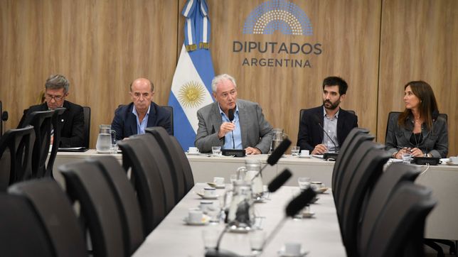 La Comisión de Agricultura de Diputados, en debate sobre las retenciones que preocupa a Javier Milei.&nbsp;