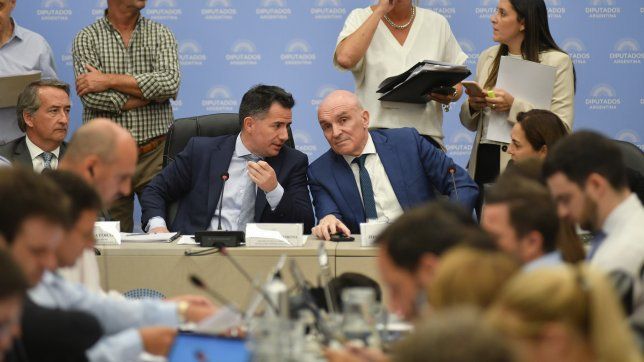 Ley ómnibus: Gabriel Bornorini (LLA) y José Luis Espert (AV), durante el debate.&nbsp;