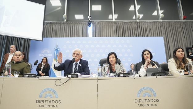 El bloque La Libertad Avanza, durante el plenario de Malvinas.&nbsp;