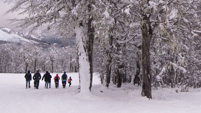 por tercer mes consecutivo, argentina tuvo superavit turistico