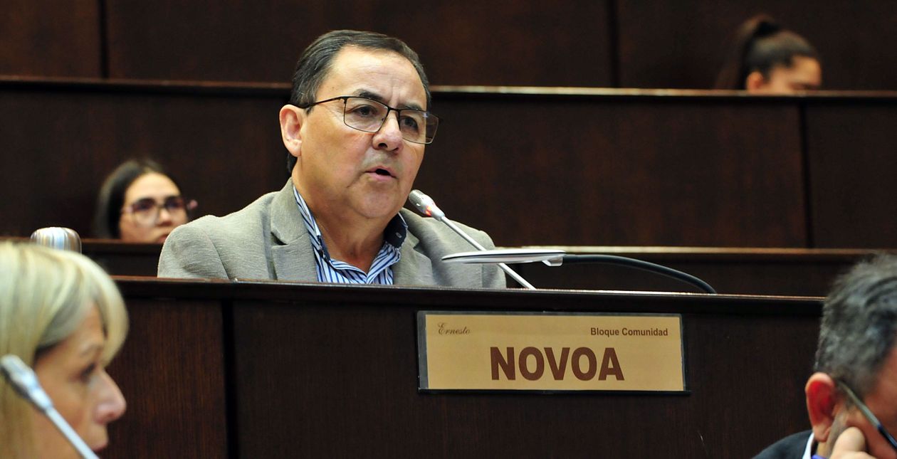 Novoa preside el bloque de Comunidad, el partido de Rolando Figueroa, y la comisión de Asuntos Constitucionales en la Legislatura de Neuquén.&nbsp;