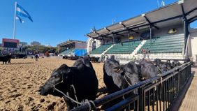 Banco Ciudad en la Rural 2022
