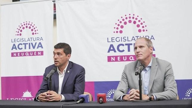 neuquen y rio negro contraatacan y piden una tarifa electrica diferencial