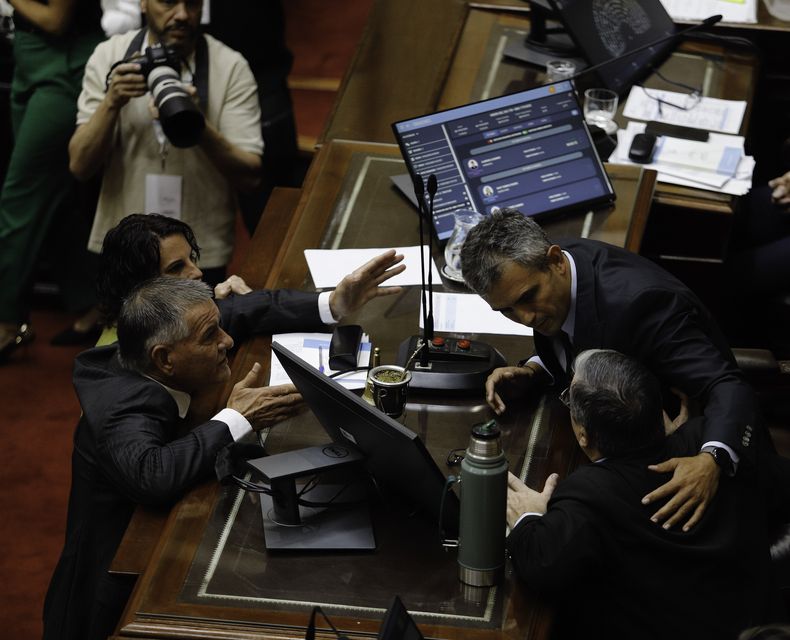Martín Menem, presidente de Diputados.&nbsp;