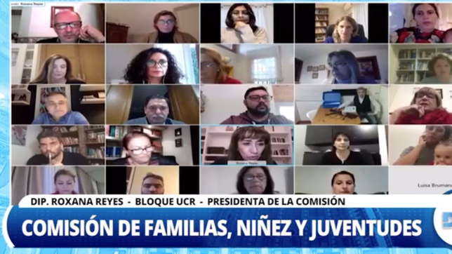 diputados analizo los desafios para la ninez en la post pandemia