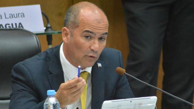diputado pro pide un ajuste a la politica