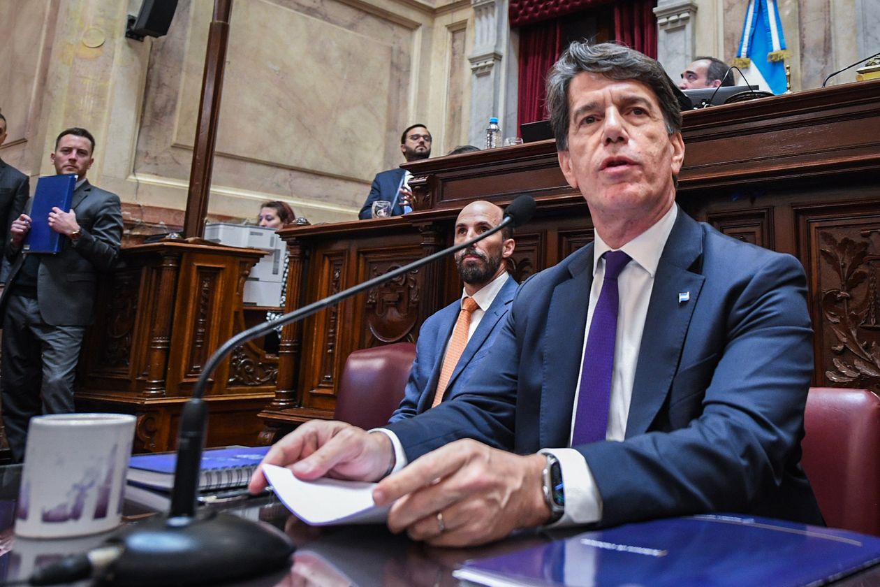 Nicolás Posse, duranate su exposición en el Congreso.&nbsp;