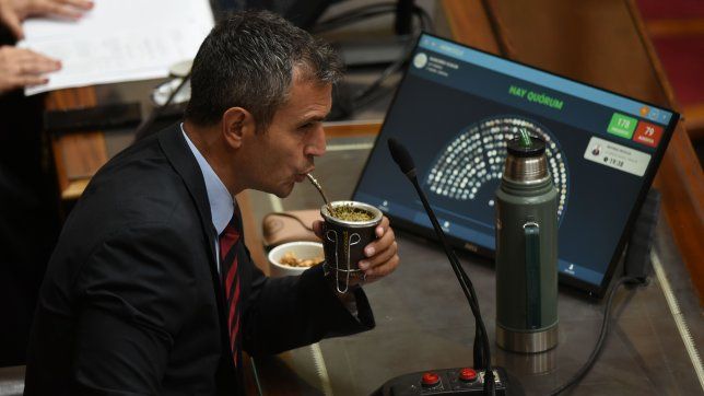 Martín Menem, presidente de la Cámara de Diputados&nbsp;