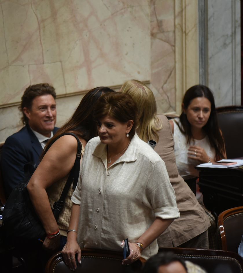 Diputados de provincias Unidas, claves en la votación del DNU 70/23