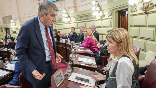 Diario de la Convención de Santa Fe, día tres: después de un show de chicanas, se definieron las comisiones