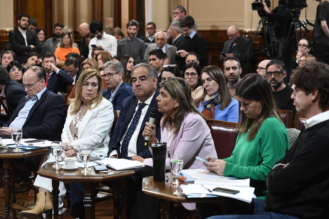 Mariana Jury, senadora de la UCR