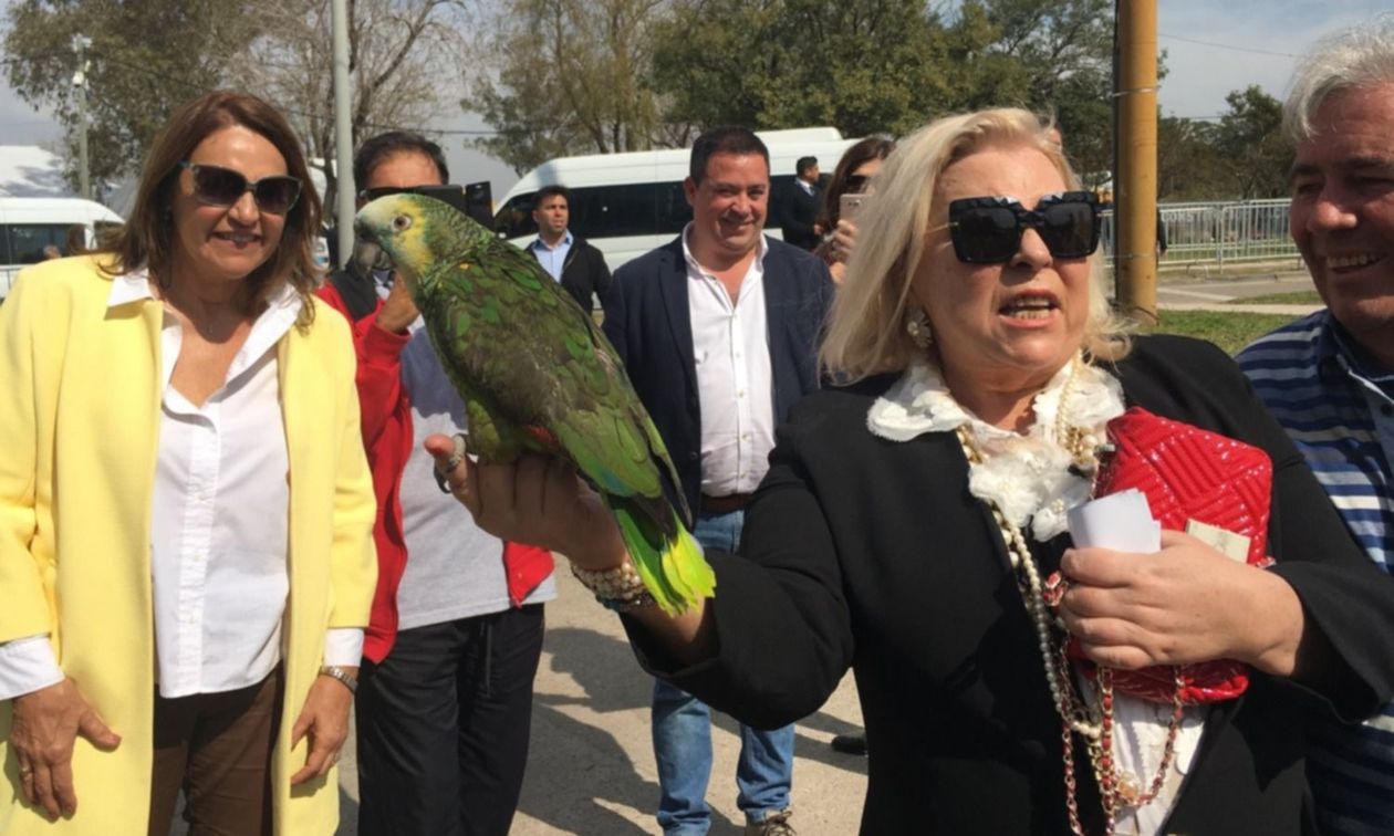 Elisa Carrió