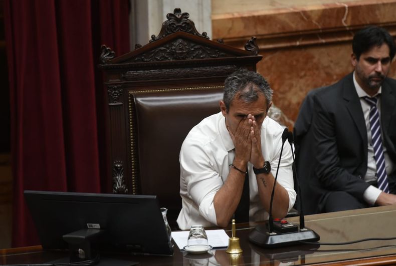 Martín Menem, referente de Javier Milei en el Congreso.&nbsp;