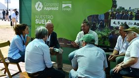 El campo y la ley de semillas: se reaviva la puja entre productores y dueños de las patentes