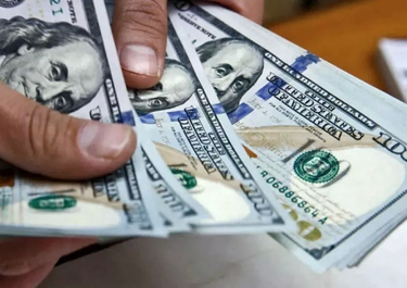 Dólar y dólar blue