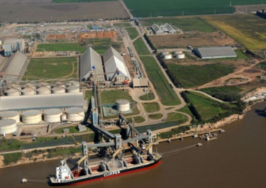 El fantasma de la expropiación que pisó la partida de Dow