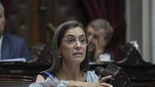 La diputada Carolina Castets renunció a la CC disgustada con Elisa Carrió.