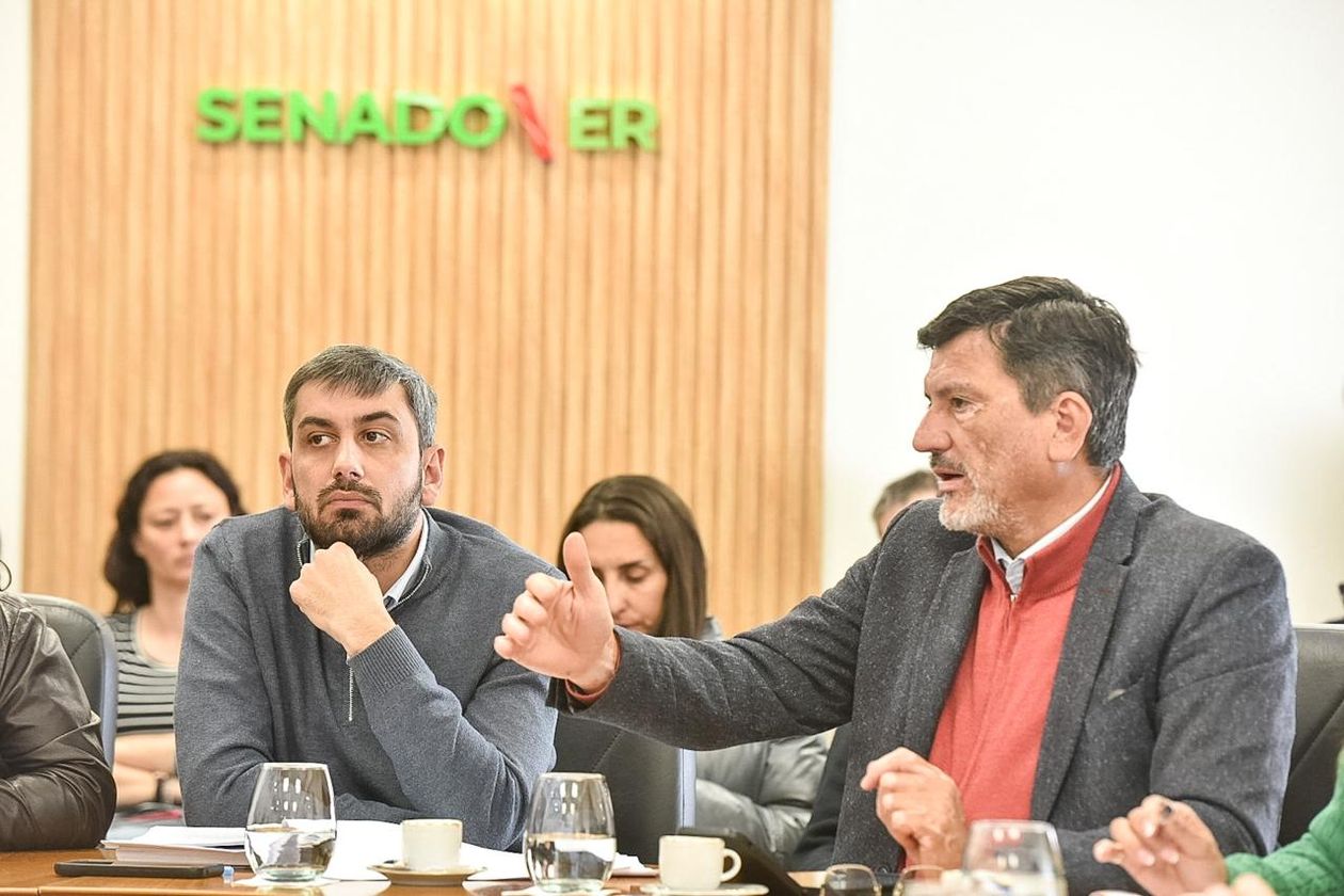 Los senadores Juan Pablo Cosso (izquierda) y Guatavo Vergara (derecha) durante el tratamiento de los cambios en Ficha Limpia en Comisiones.