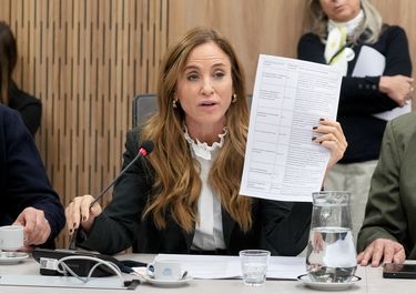 Victoria Tolosa Paz (UP), durante el debate en Diputados sobre la ley de trazabilidad que impulsó La Libertad Avanza y deberá aplicar Mario Lugones.&nbsp;