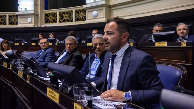 todos resiste la vuelta de bonelli a la legislatura bonaerense