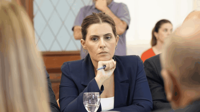 Lionella Cattalini, la elegida por el socialismo de Santa Fe para rosquear el capítulo judicial.