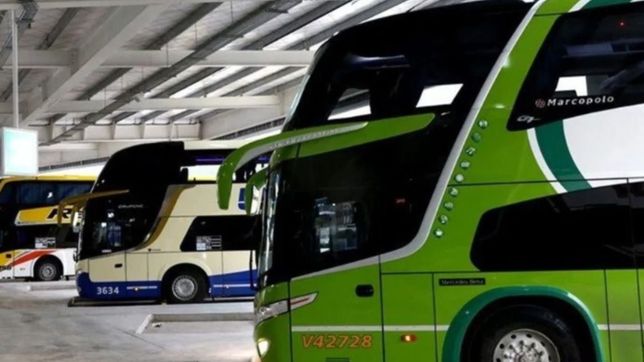 meoni auxilia a los omnibus de larga distancia con un subsidio de $500m