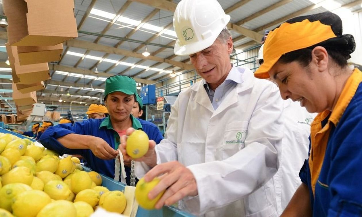 Macri limones