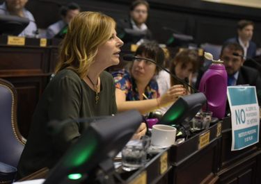 Buenos Aires adhiere a la Ley Micaela, pero Vidal apila críticas