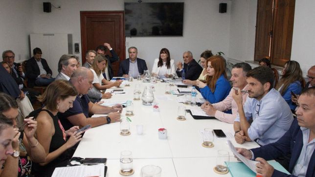 la pelea entre pullaro y el socialismo sumo un round en la legislatura