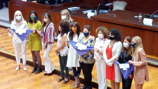 jujuy se suma a las provincias con ley de paridad de genero