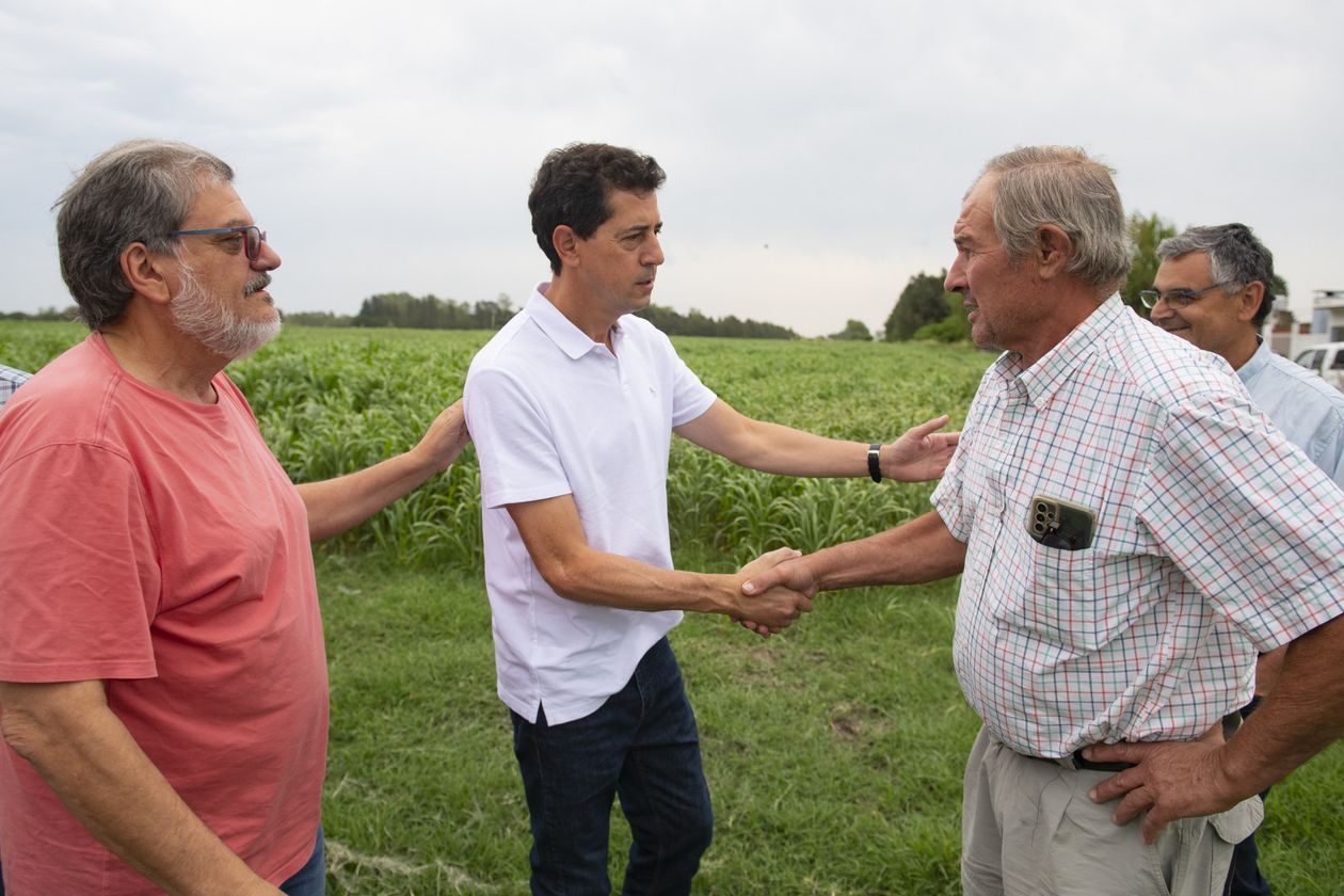 Wado de Pedro campo