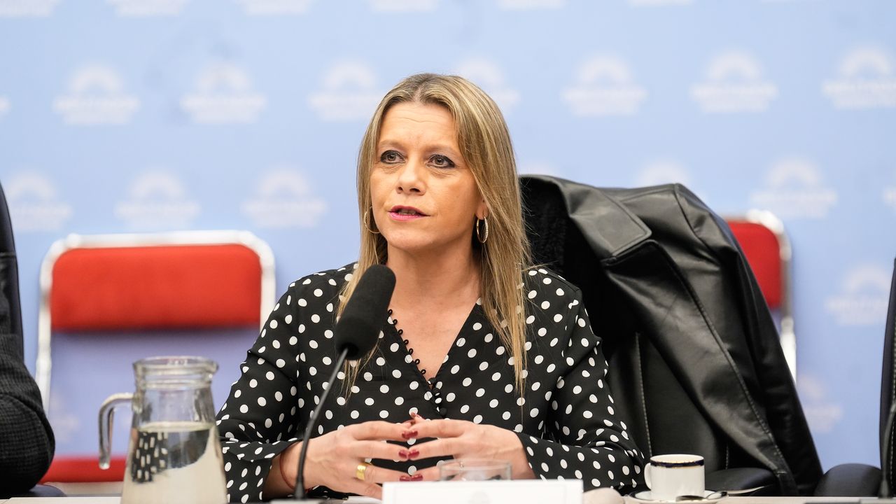 Claudia Balestrini, subsecretaria de Ingresos Públicos, expuso uno de los proyectos centrales para el Gobierno, que negocia con la oposición.&nbsp;&nbsp; &nbsp;