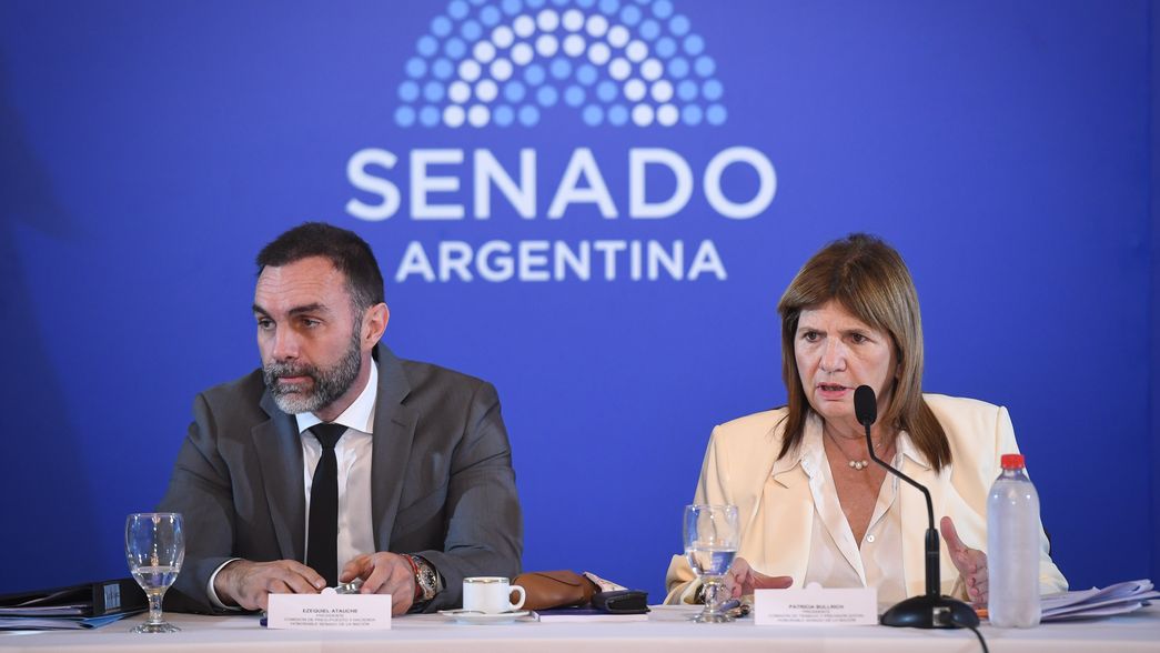 Ezequiel Atauche y Patricia Bullrich, de La Libertad Avanza, durante el debate de la reforma laboral.&nbsp;