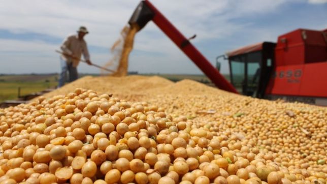 los reclamos de la federacion agraria bonaerense tras el acuerdo con bonistas