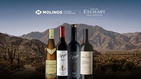 Salta: Molinos expande sus negocios y acuerda la compra de la bodega Etchart.