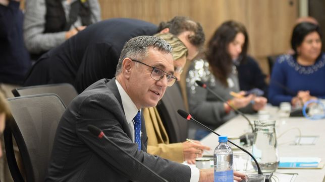 Alejandro Finocchiaro, del PRO, durante el debate sobre el presupuesto que asigna Javier Milei a las universidades.&nbsp; 
