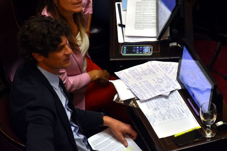 Martín Lousteau, senador de la UCR.