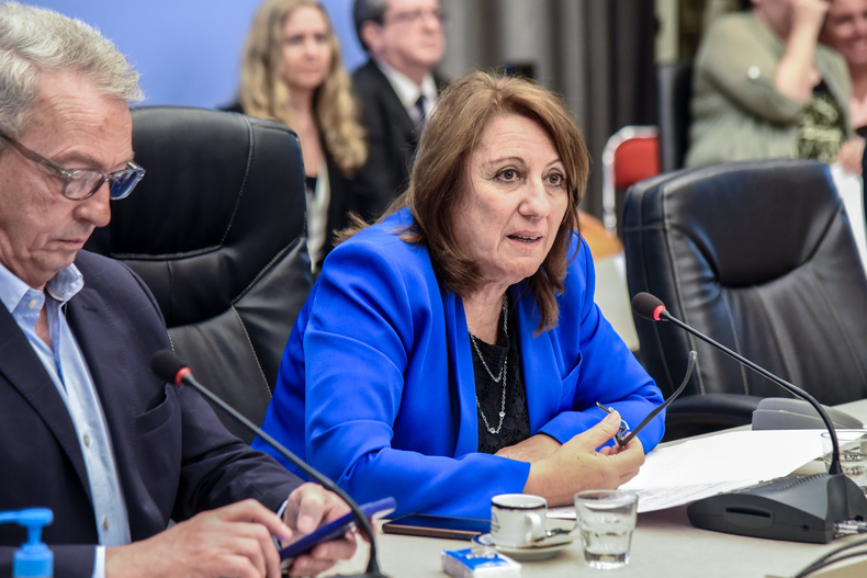 La presidenta del Partido Socialista Mónica Fein.