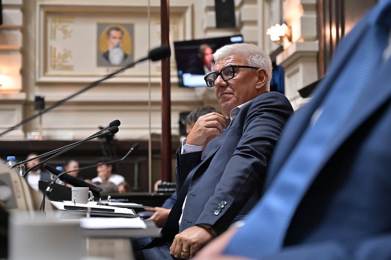 El presidente de la Cámara de Diputados, Alejandro Dichiara.