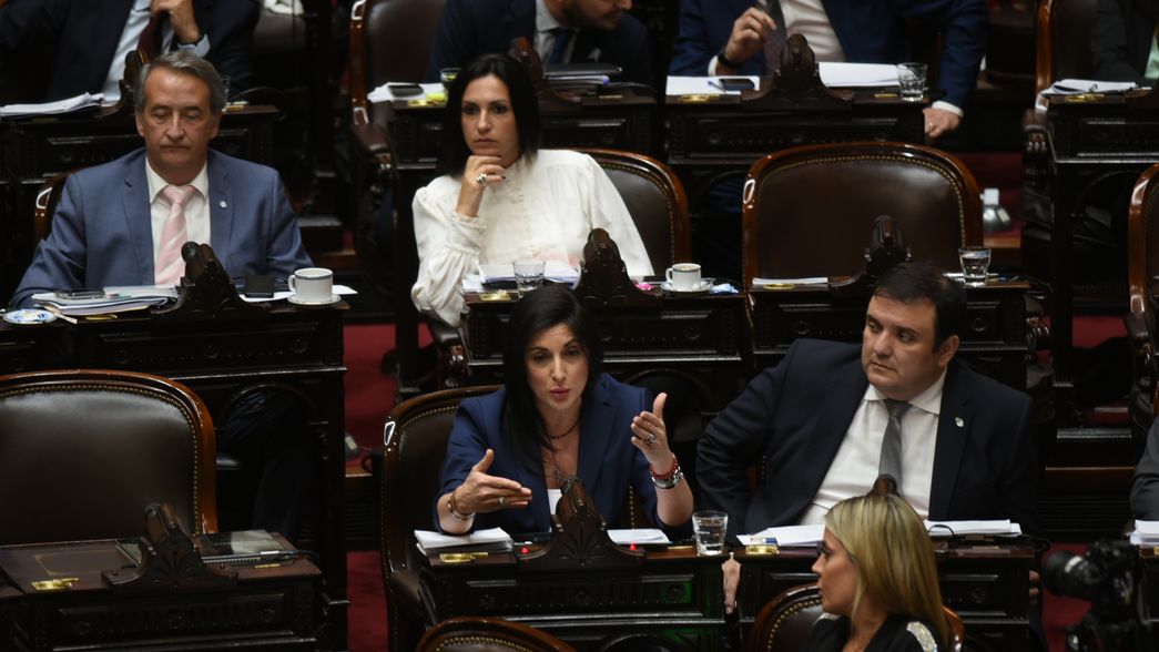 El bloque de La Libertad Avanza en Diputados.&nbsp;