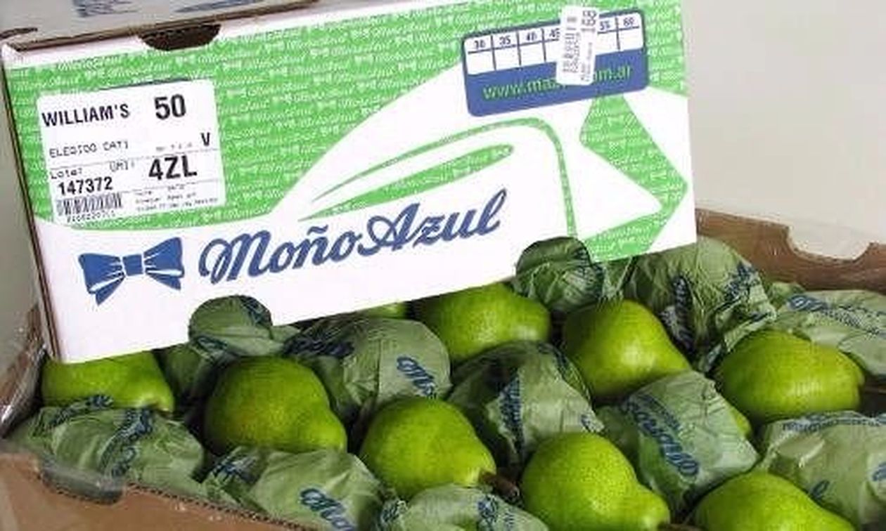 Moño Azul