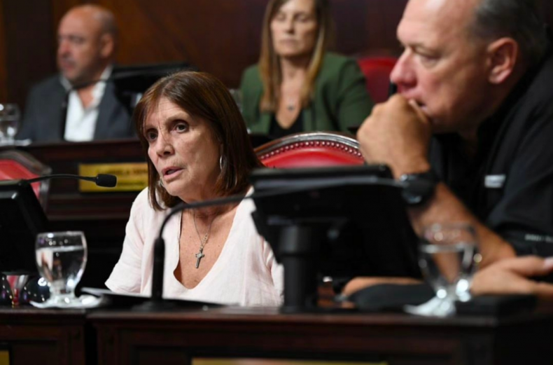 El bloque del peronismo en el Senado es presidido por Teresa García.