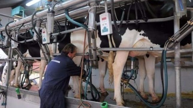 ruralistas advierten que ?los numeros no cierran en los tambos?