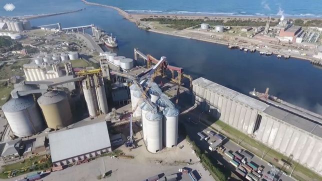 la muneca de la centenaria aca para saltar de victima a duena de vicentin